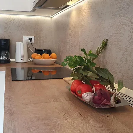 House - Dvori Vlahovici